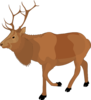 Brown Moose Clip Art